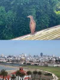 曼絨市兩天旅遊攻略來啦！
