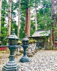 Exploring Chinese Cultural Heritage in Japan: Nikko Toshogu Shrine