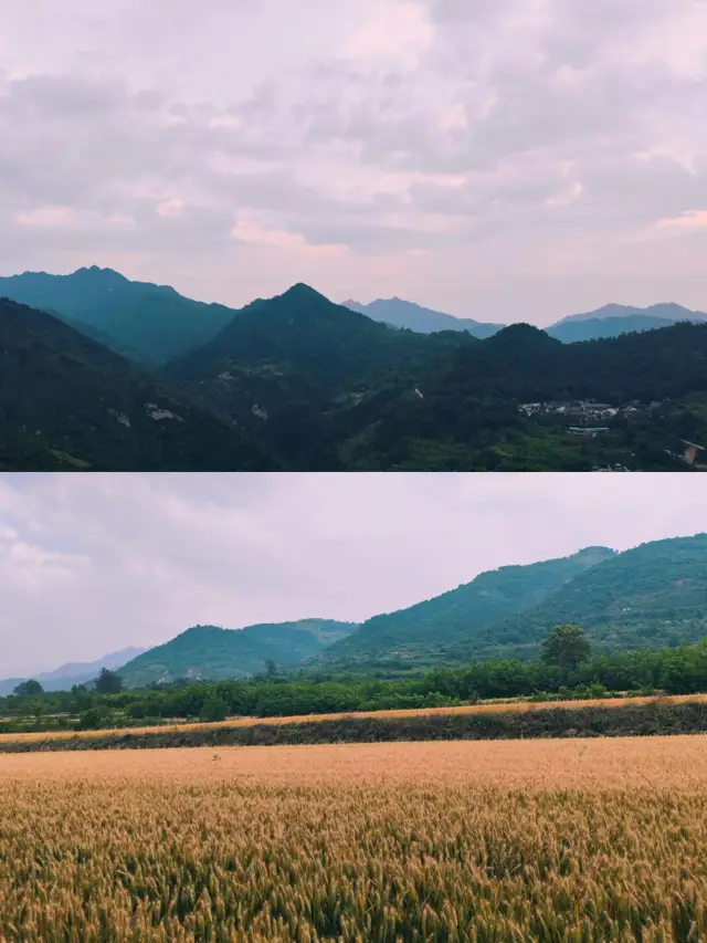 A hidden gem in Chang'an District, Yijianshanji!