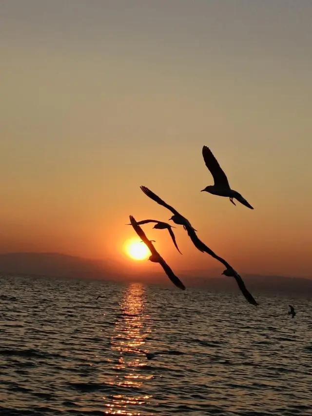 Kunming is finally more than just a transfer station in autumn and winter.