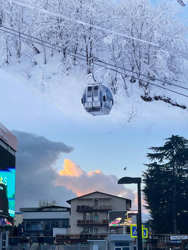 冬日索契，一場心情飛揚的冰雪奇緣。