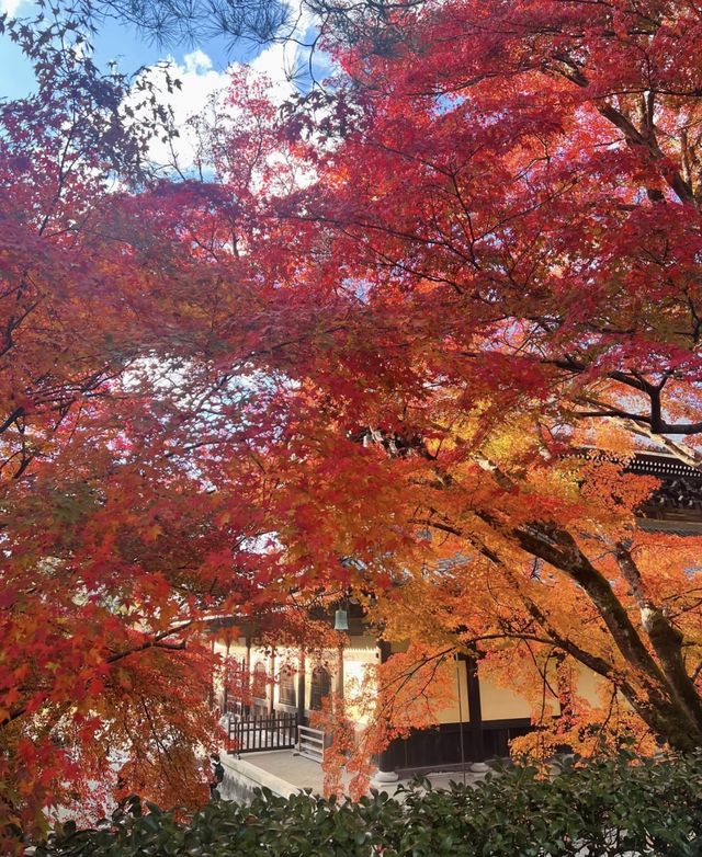 永观堂&南禅寺｜天授庵