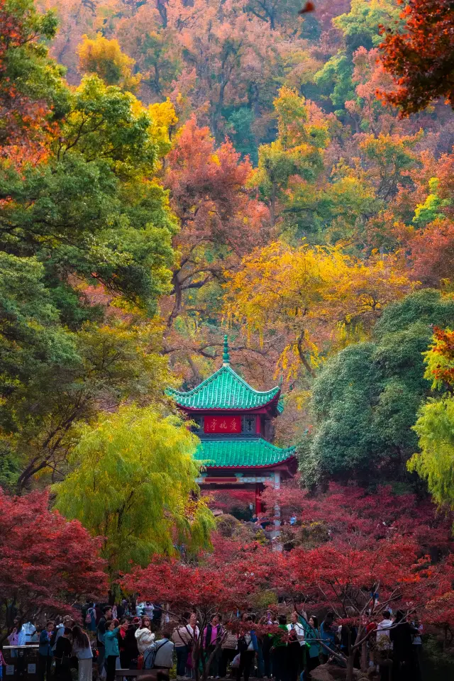 Changsha's autumn is hidden in this mountain. 