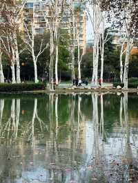 秋水碧連天一色 | 武漢解放公園