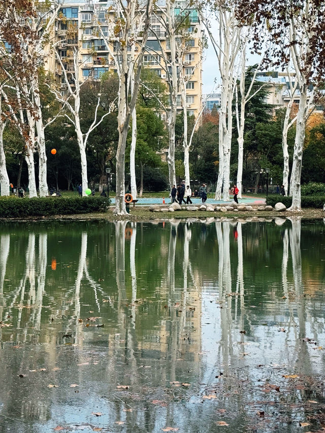 秋水碧連天一色 | 武漢解放公園
