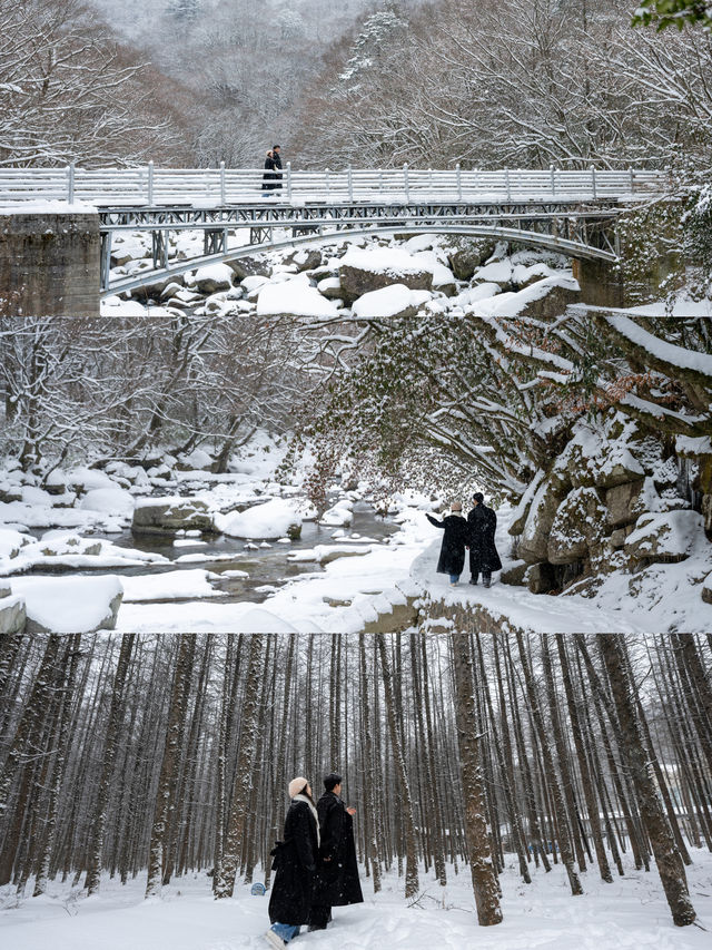 誰懂雪後的光霧山韓劇氛圍感直接拉滿～