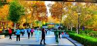 深秋的武漢解放公園——紅得發紫