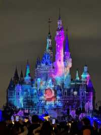 11.11 Live! Disney Christmas Season is Here 🎄 with Photo Tips 📷