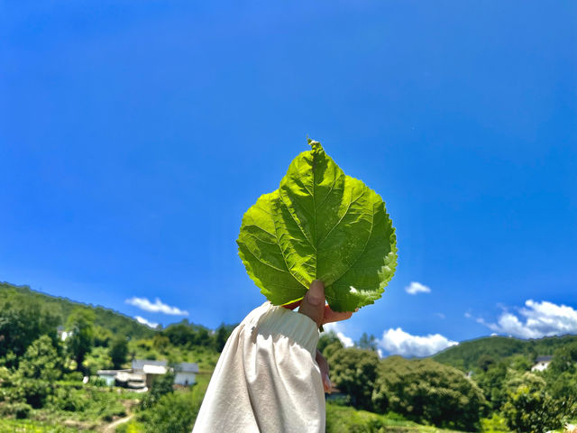 湖北·遠安寶藏級小眾旅遊景點先收藏下次來