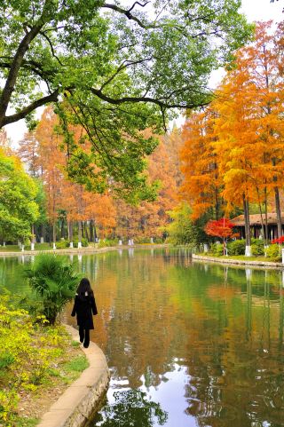I swear!! Wuhan is truly an oil painting world...