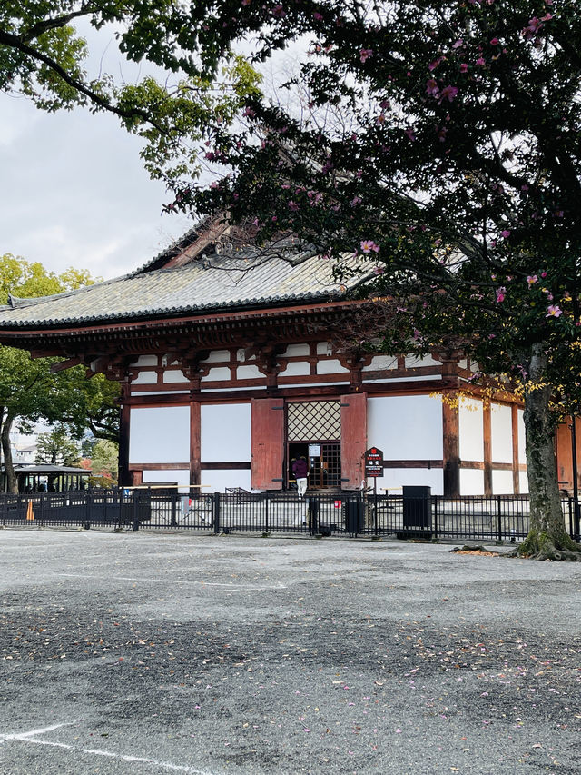 日本·京都