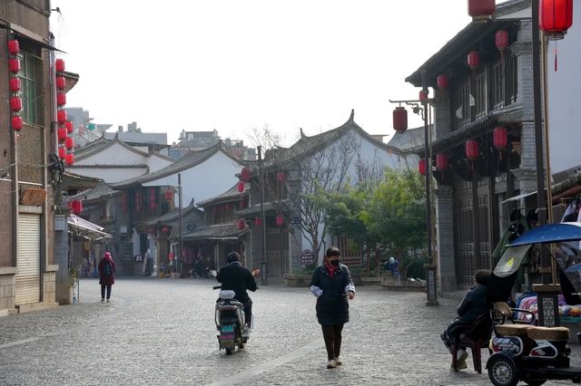 異龍湖偶遇紅嘴鷗