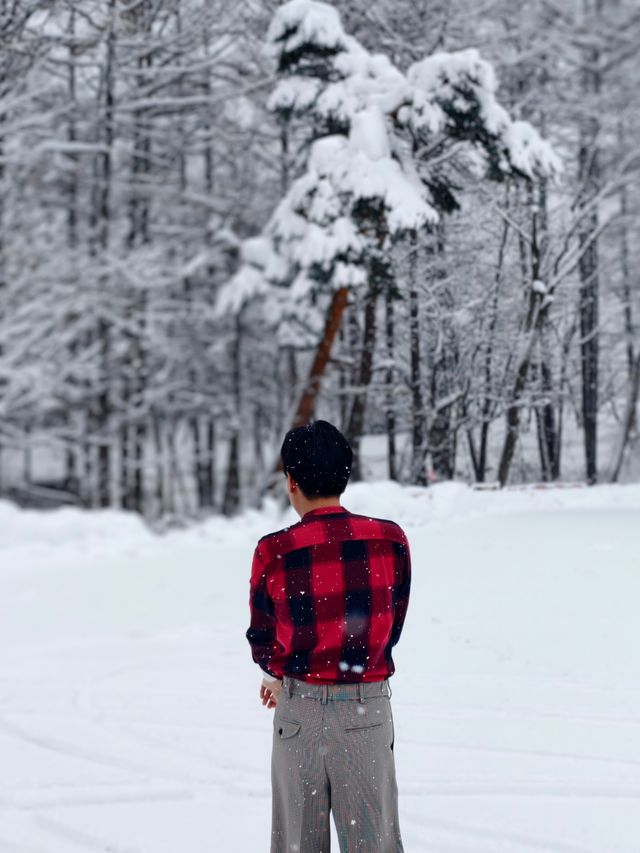 暴雪抵達藏王 化身童話世界 瘋狂出片的一天