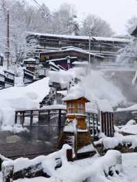 暴雪抵達藏王 化身童話世界 瘋狂出片的一天