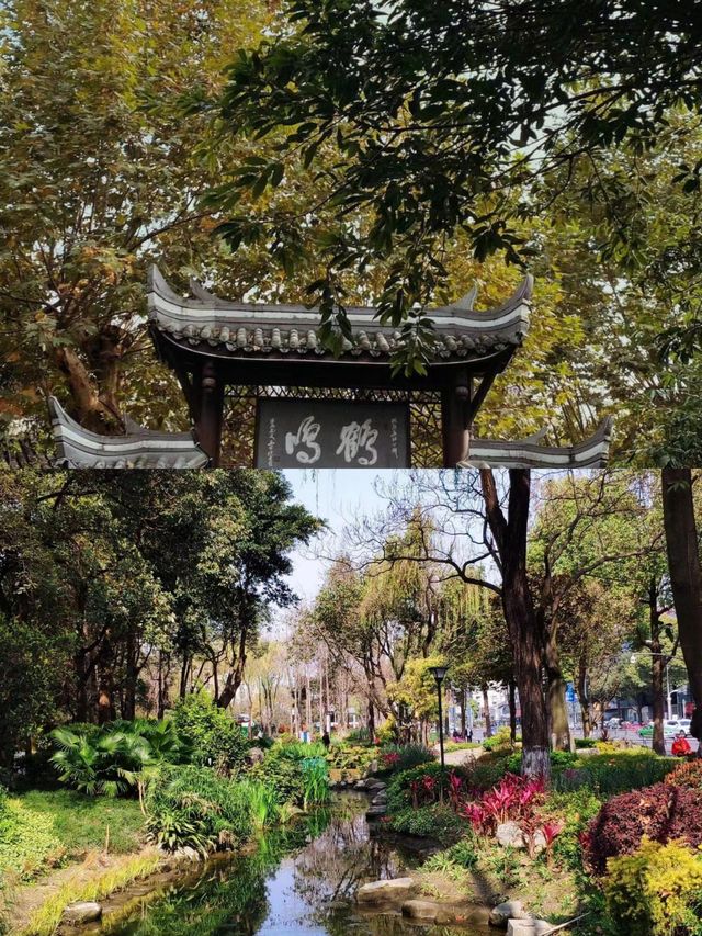 在四川成都，感受人民公園的悠閒生活氛圍