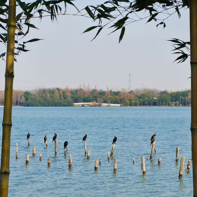 冬季西沙明珠湖一日遊攻略