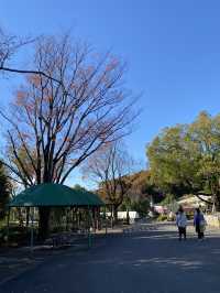 名古屋動物園的冬日暖陽