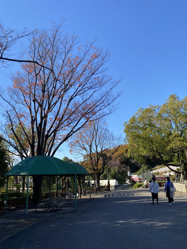 名古屋動物園的冬日暖陽