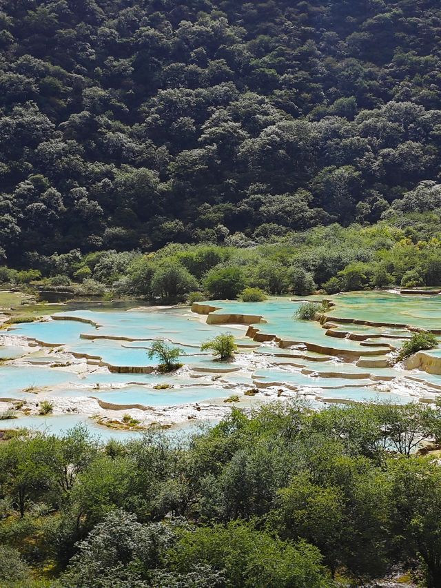 帶娃探秘九寨溝-黃龍與國寶零距離接觸的旅行攻略