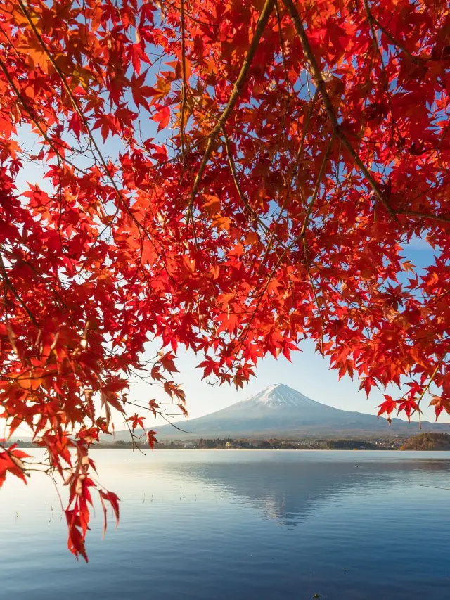 過年泡溫泉來日本享受冬日暖意