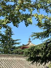 法門寺 | 真身寶塔