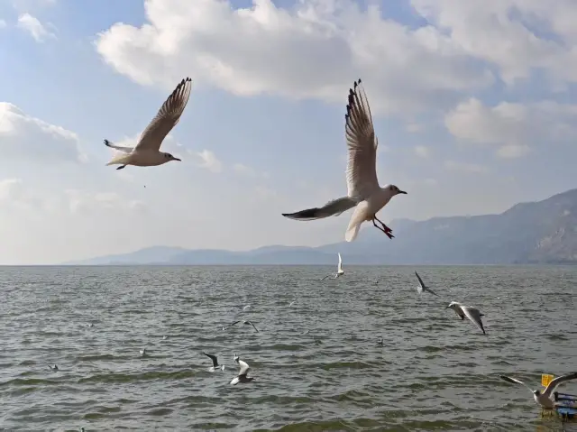 10-Day Yunnan Itinerary