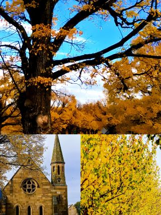 Armidale, Australia's hidden gem!