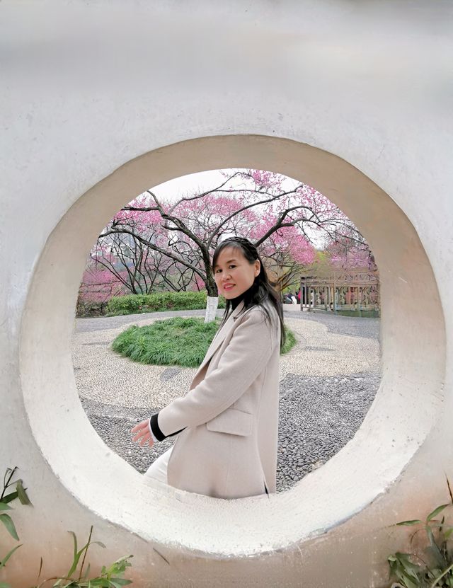 重慶踏青賞梅之彩雲湖