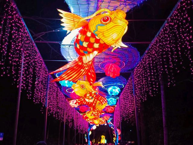 YueXiu Park Lantern Festival Itinerary: Walk Trough The Magic Forest