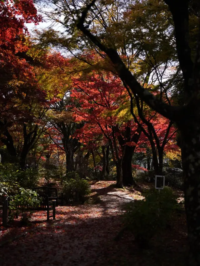 2일간의 일본 온천 여행 탐험