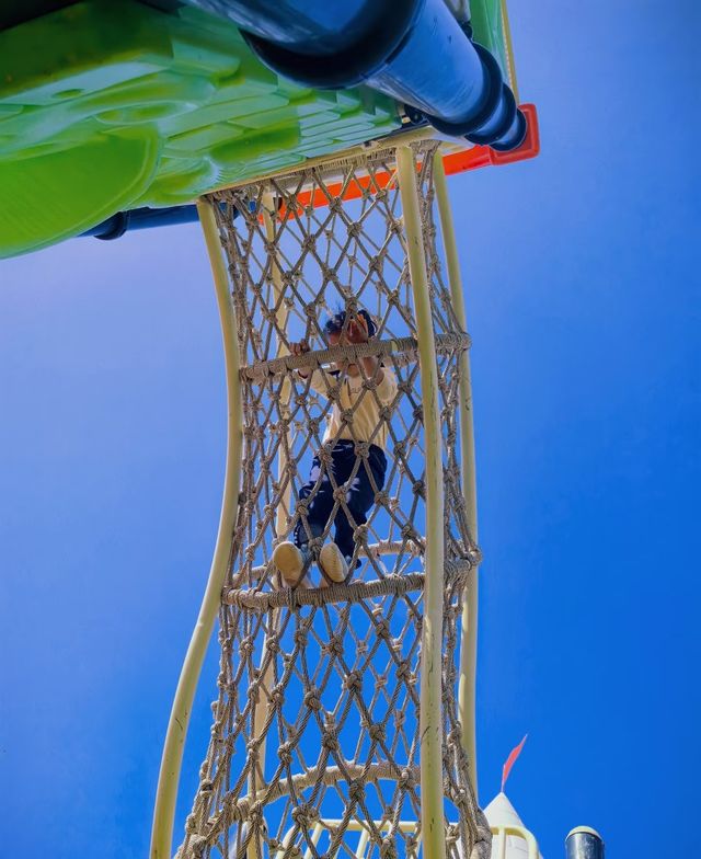 白鹿森林公園一日遊攻略，帶你暢玩！