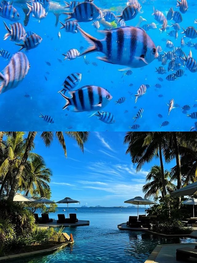 三月份旅遊五大免簽國，中國人話走就走