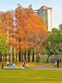 四海公園：飲咖啡、逛公園、曬太陽……