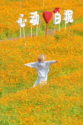 2.14實拍三水白坭一日踏春賞花超強攻略來啦！