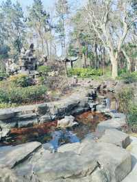 上海的小西湖—楊浦公園探尋