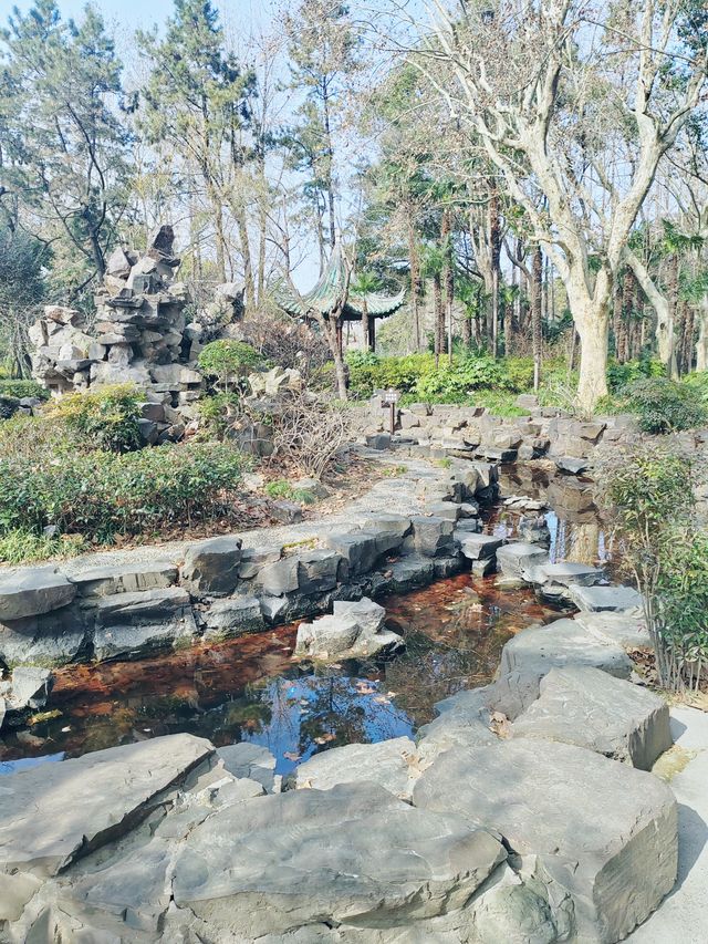 上海的小西湖—楊浦公園探尋