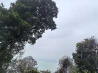春來尋夢石竹山