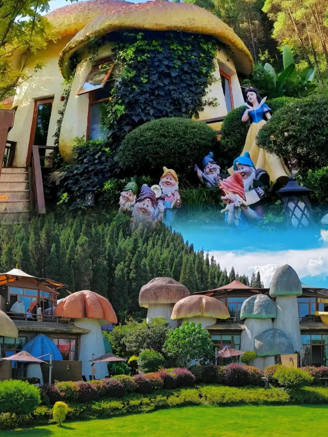 太夢幻了！我竟然帶娃住進了巨型磨菇村