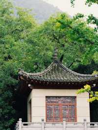 冬季的西安-寶雞-咸陽 美得猶如電影 忍不住推薦給你們