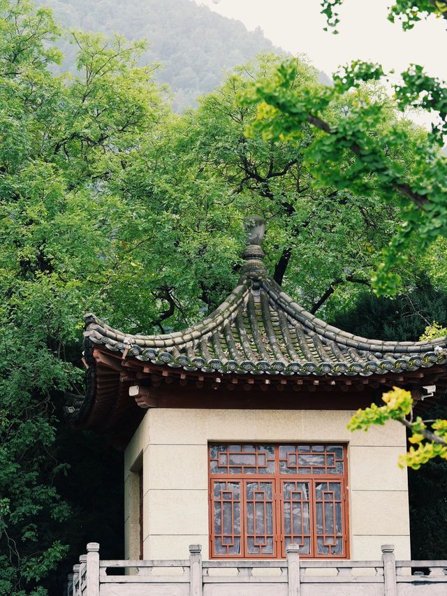 冬季的西安-寶雞-咸陽 美得猶如電影 忍不住推薦給你們