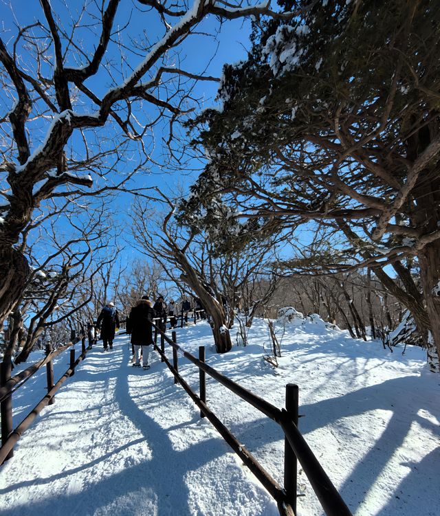 漫步德裕山國立公園｜邂逅韓國絕美自然畫卷