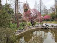 真如公園梅花景