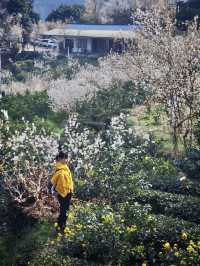 成都1.5小時直達官帽山 徒步挖野菜 太治癒了！