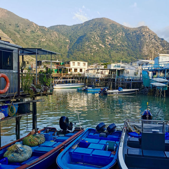 Discover Tai O Village: A Scenic Boat Adventure in Hong Kong 