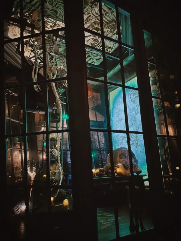 Discover the Magic of Diagon Alley at Universal Orlando