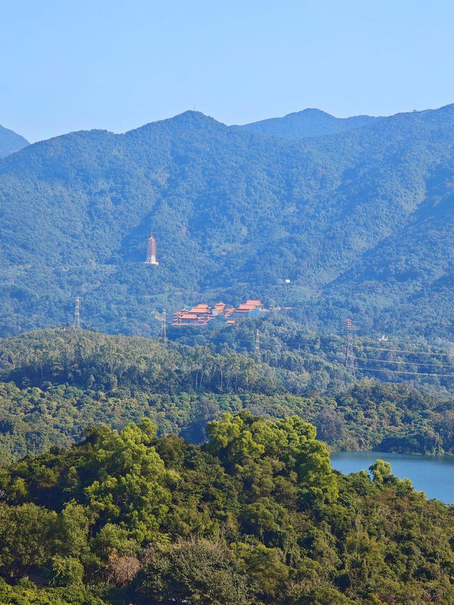 🌈深圳版千島湖｜淘金山綠道攻略，治癒力拉滿✨