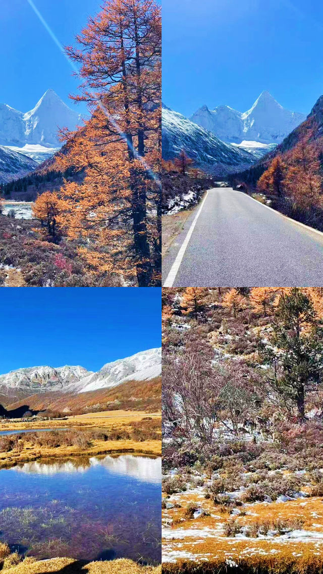 失約的不是稻城，而是我們。