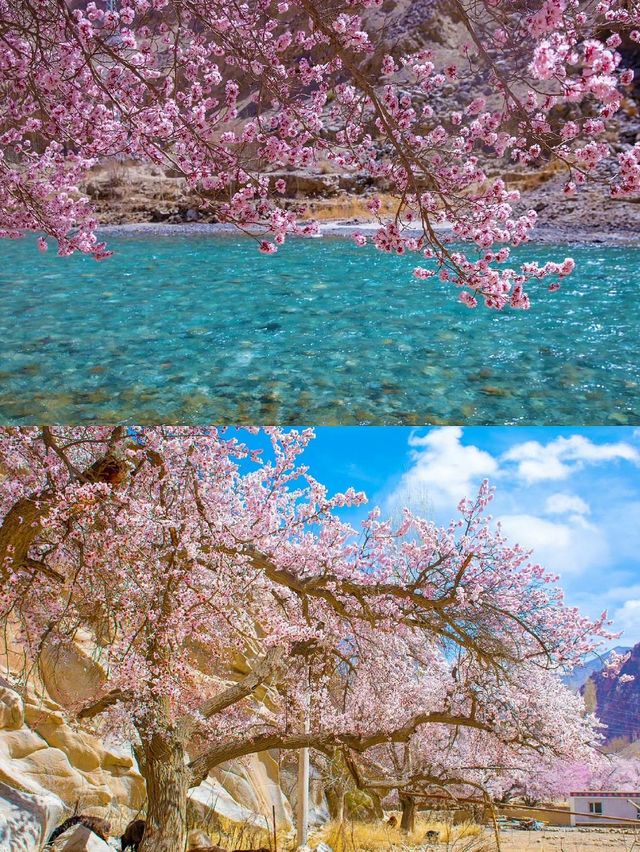 18日暢遊攻略：喀納斯-伊寧 一網打盡所有美景
