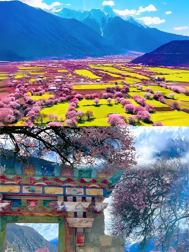 林芝受罪已回，要去的姊妹慎重。