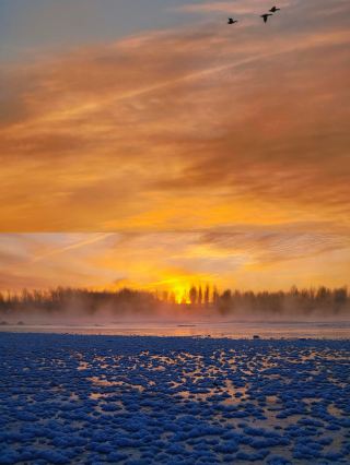 Morning Sun's Morning Sun I Fantastic Water Rhymes Swan Lake
